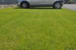 Green Parking - Image 3