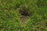 Green Parking - Image 9