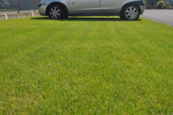 didor - Green parking